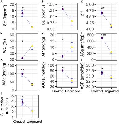 Grazing lowers soil multifunctionality but boosts soil microbial network complexity and stability in a subtropical grassland of China